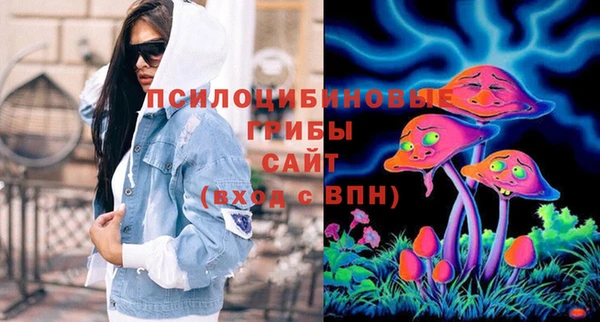 МДПВ Вяземский